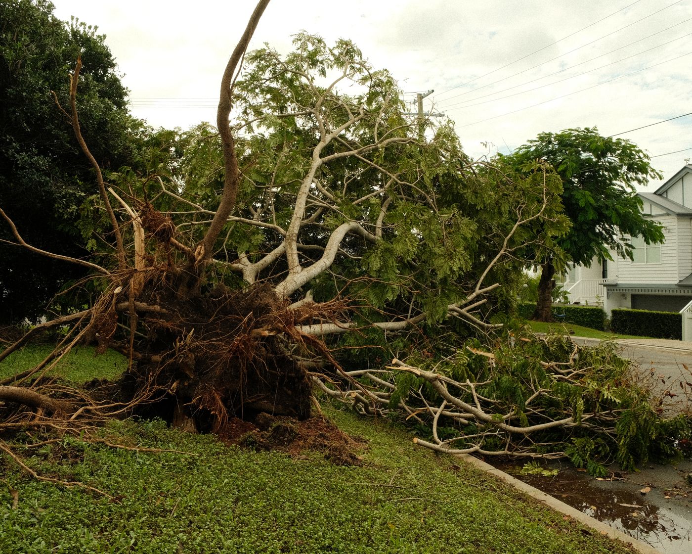 Storm-damaged suburban property after a tree came down